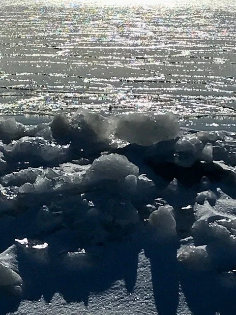 Where Spring Touches the Ice