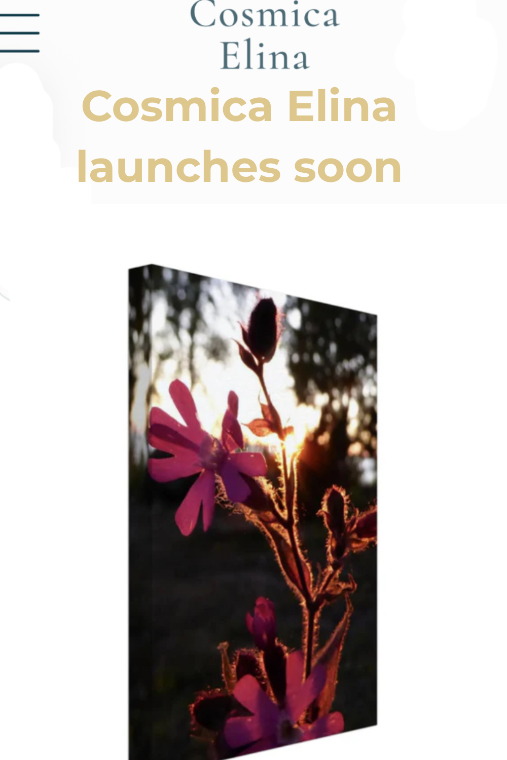 A first glimpse of what’s coming to Cosmica Elina.