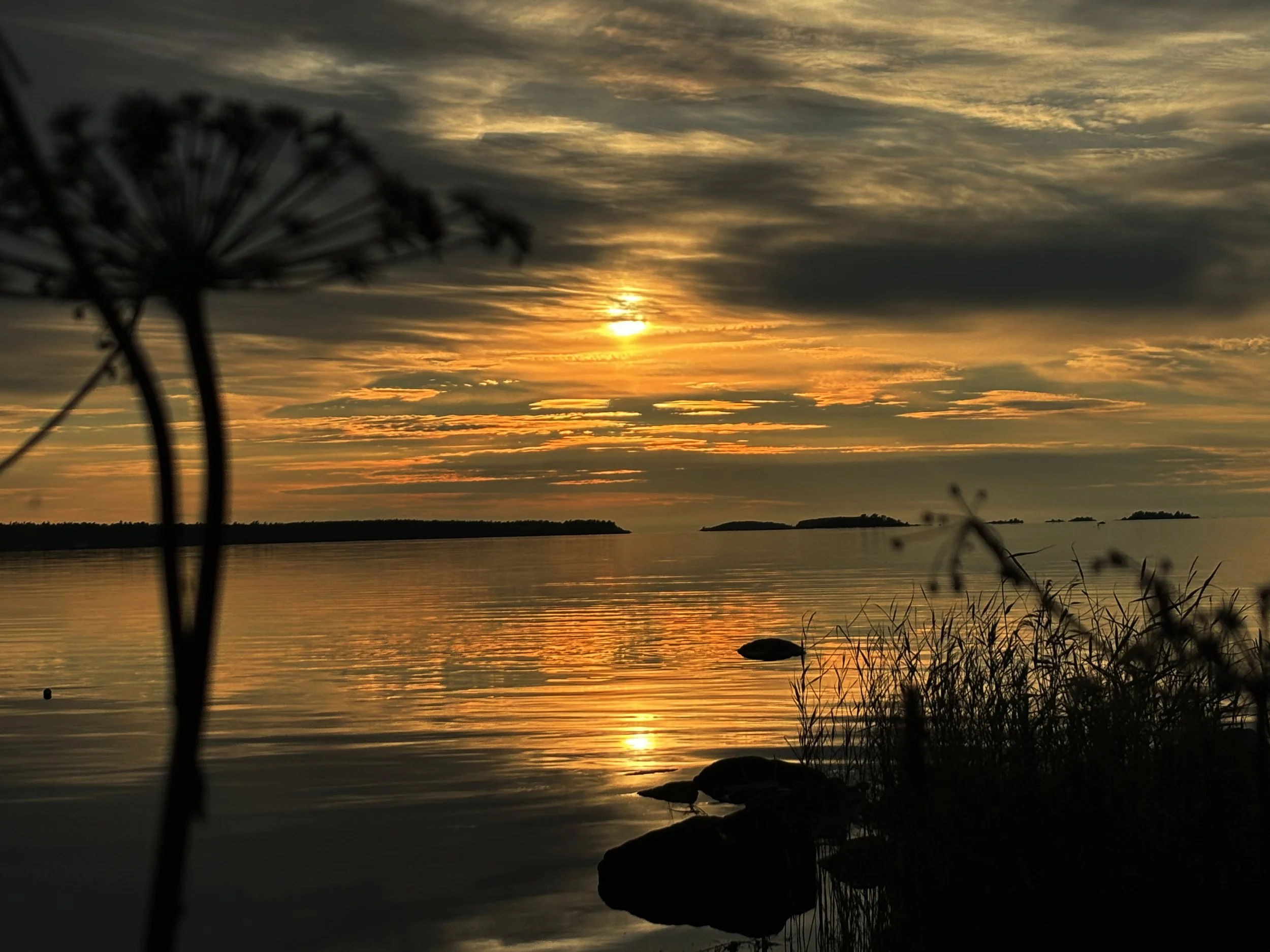 A serene lake at sunset with a mostly cloudy sky, silhouette of plants and rocks in the foreground, and small islands in the distance.