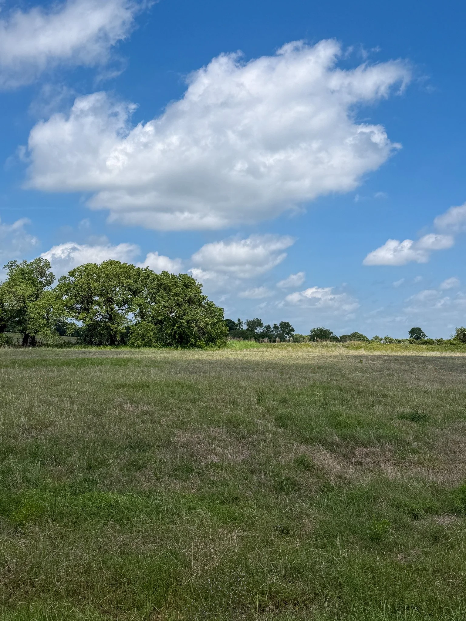 Lot 25 - rangewood