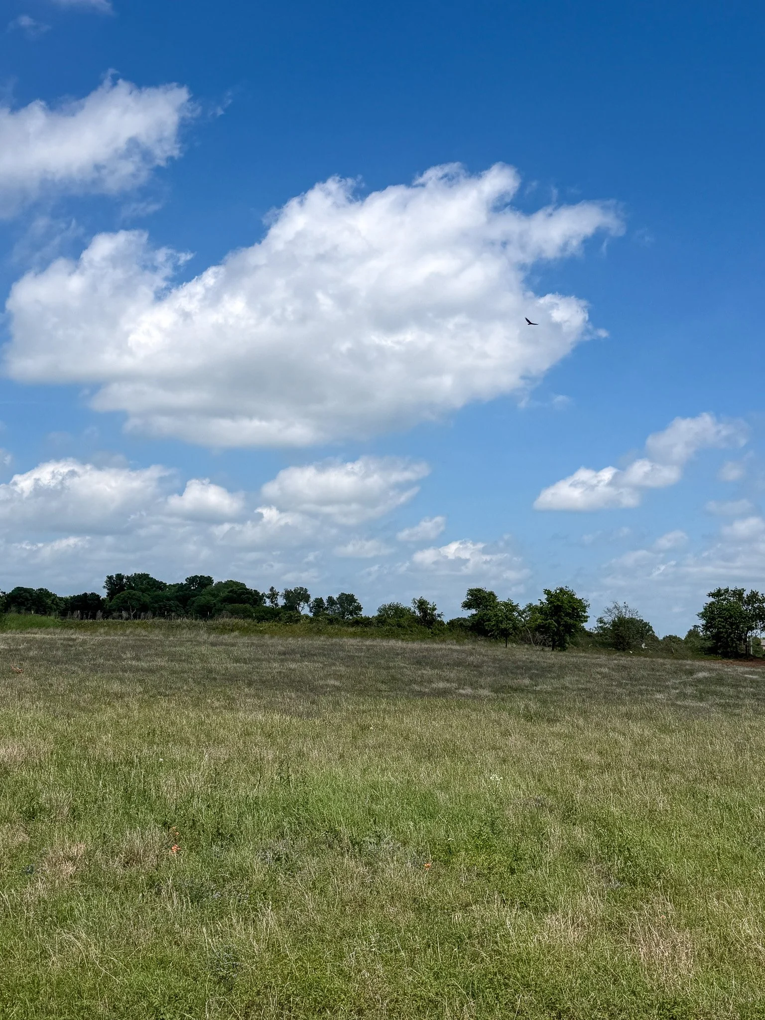 Lot 26 - rangewood