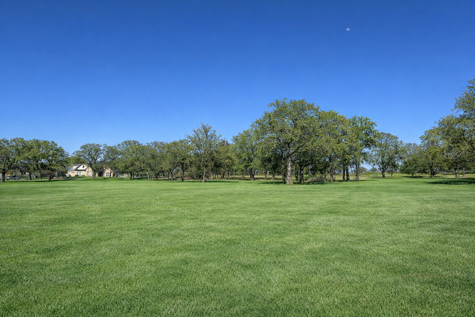Lot 17 - Estancia