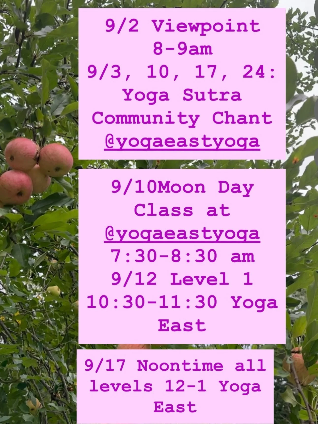 September  Class Schedule

Hope to see you- all classes are appropriate for the new to Yoga and seasoned practitioner alike.

And yes, my posts look like 90s fliers, maybe that will evolve someday but for now just sharing the time/place deets 🫶😆

H