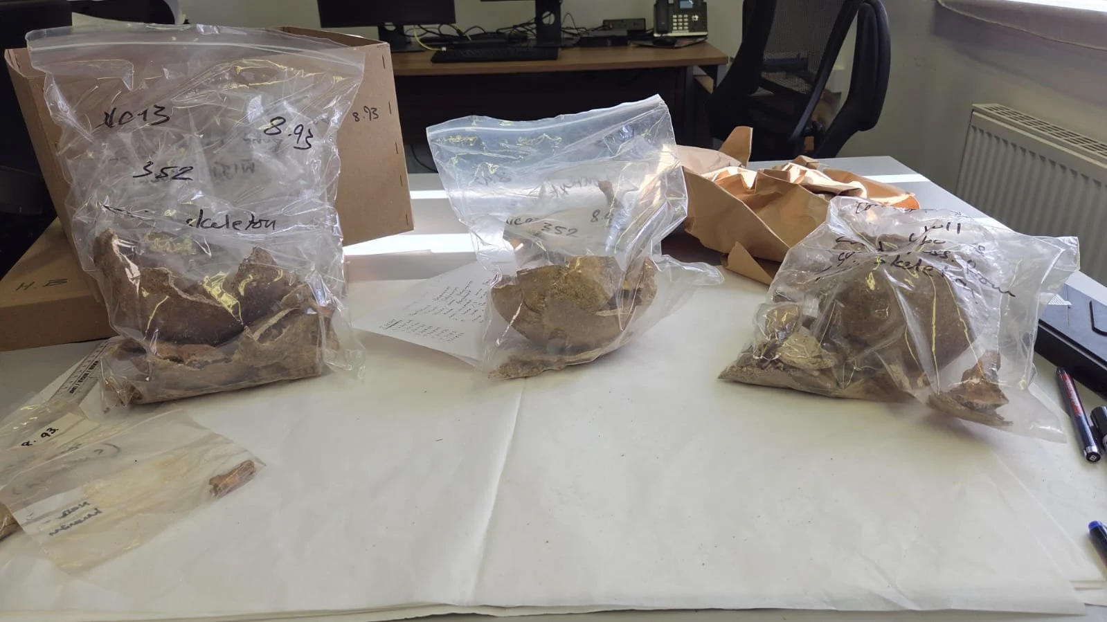 First blog post - picture content human remains 