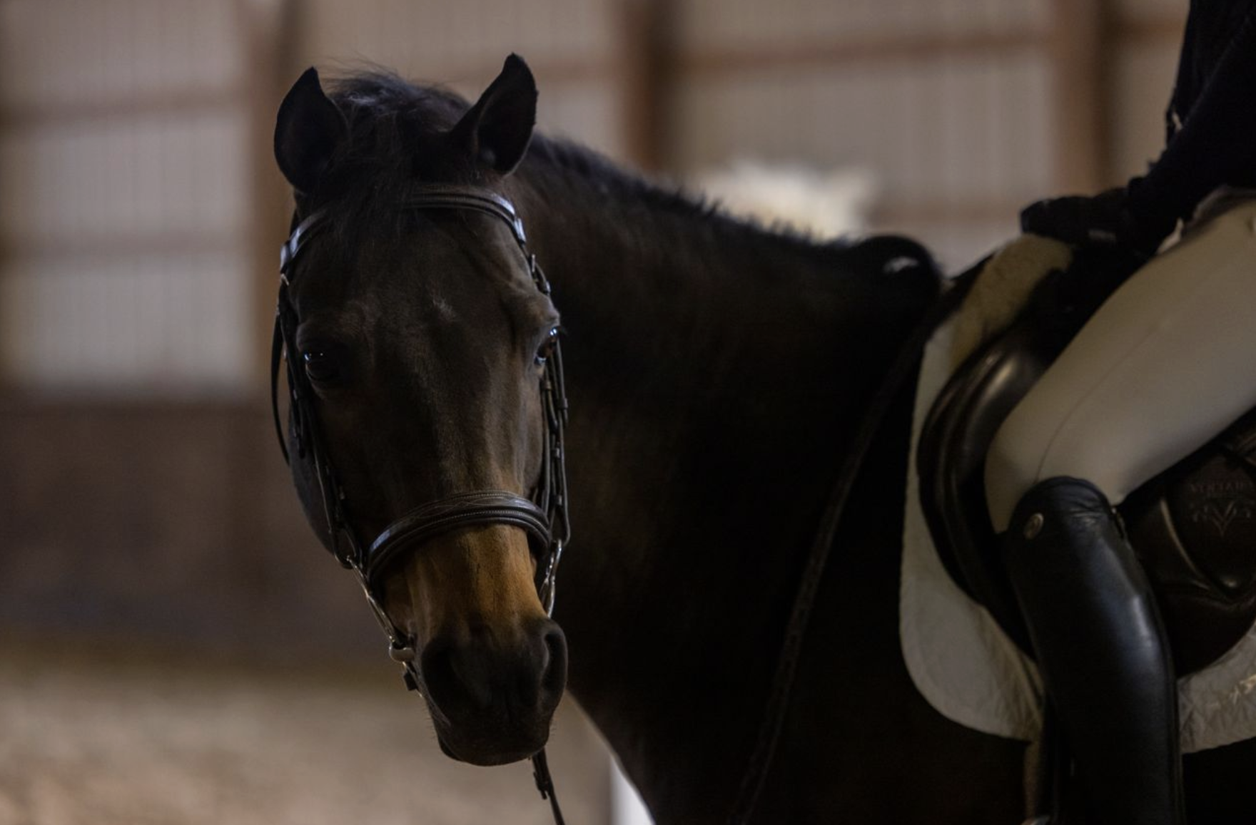 Screenshot 2026-02-22 at 10.22.22 PM.png