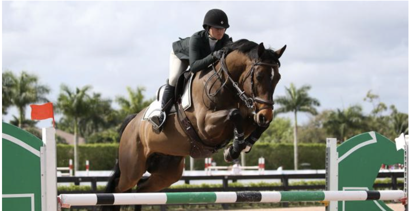 Screenshot 2026-01-19 at 11.52.00 AM.png