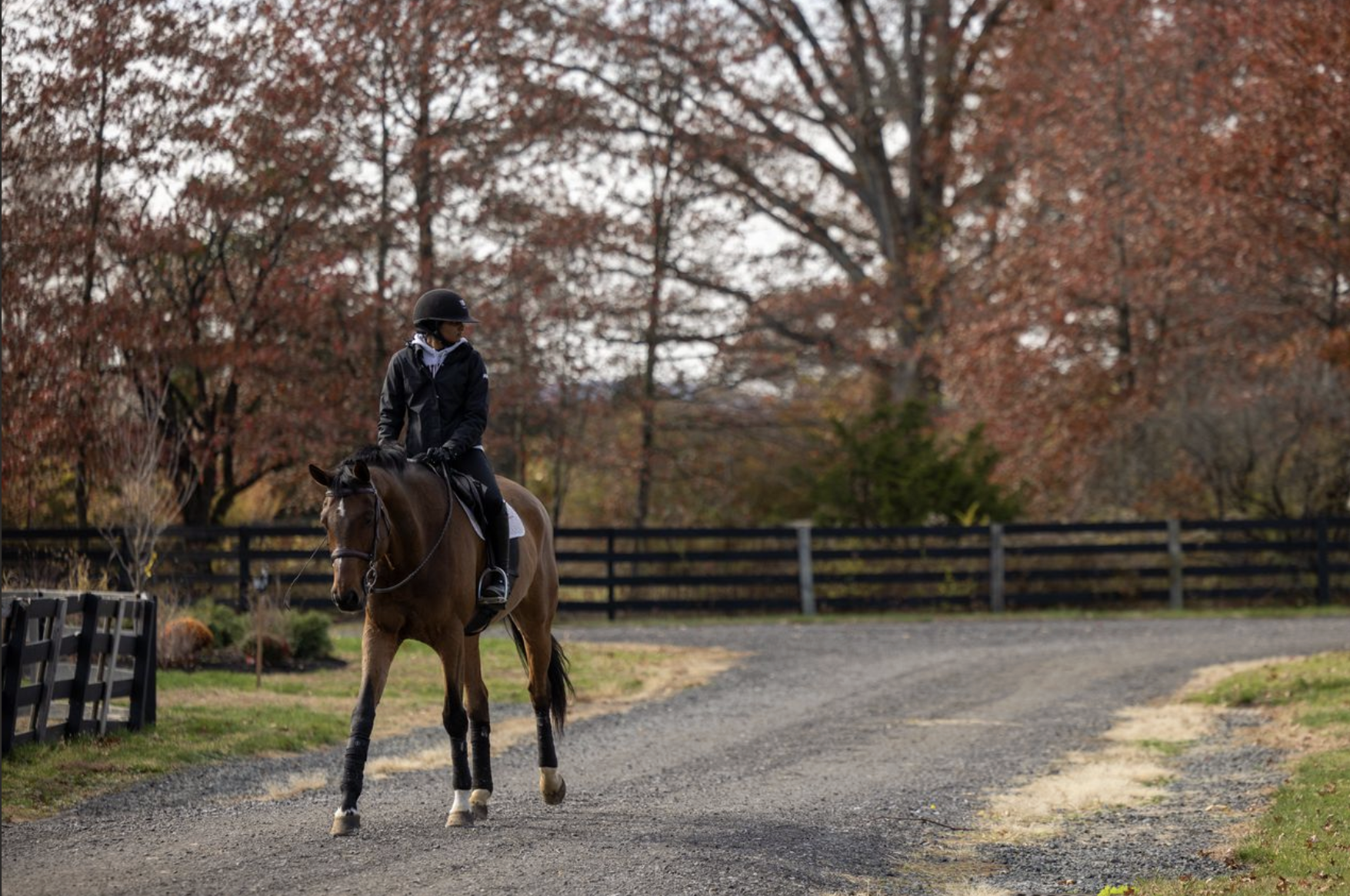 Screenshot 2026-02-22 at 10.24.42 PM.png