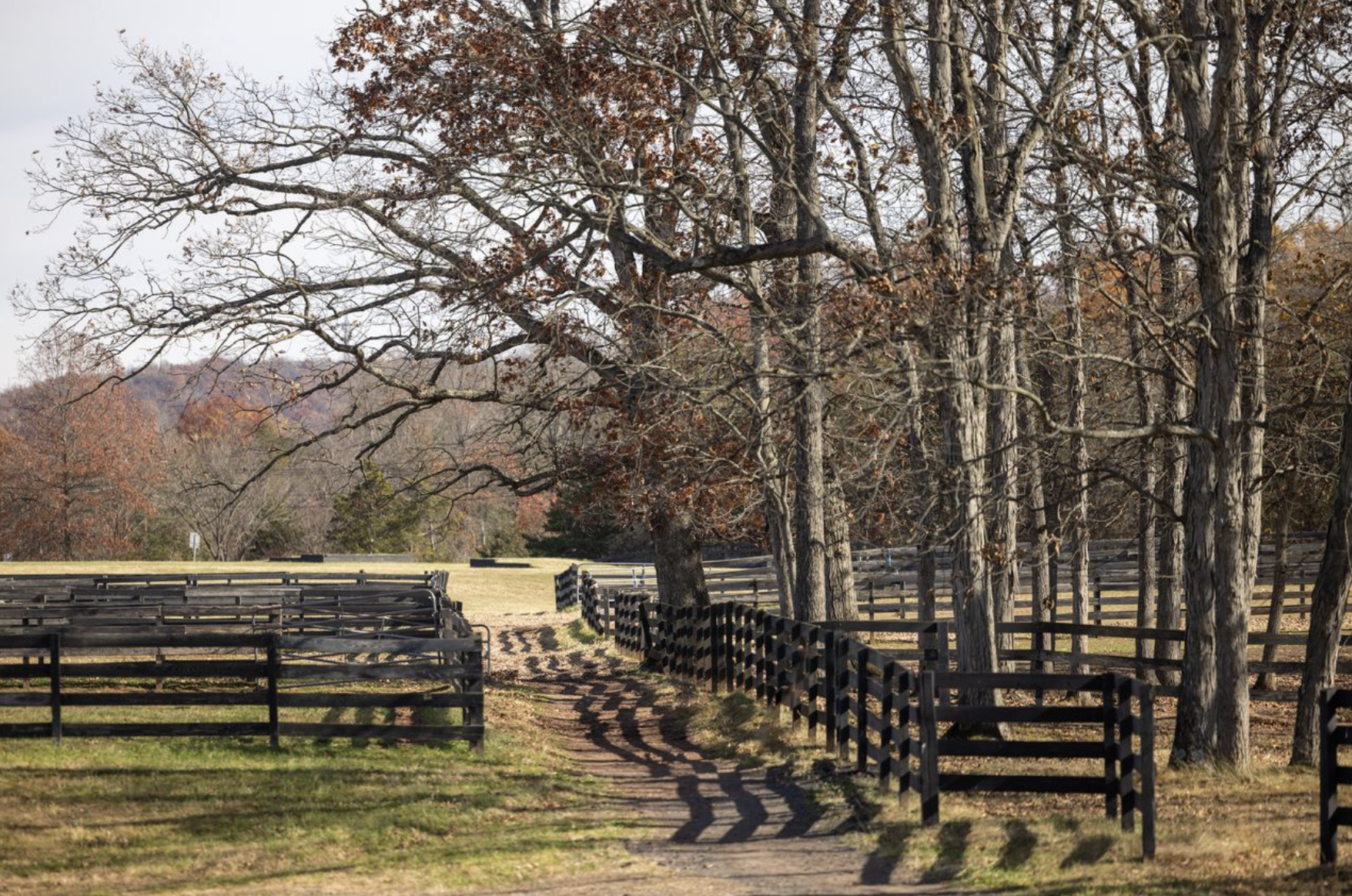 Screenshot 2026-02-19 at 1.36.26 PM.png