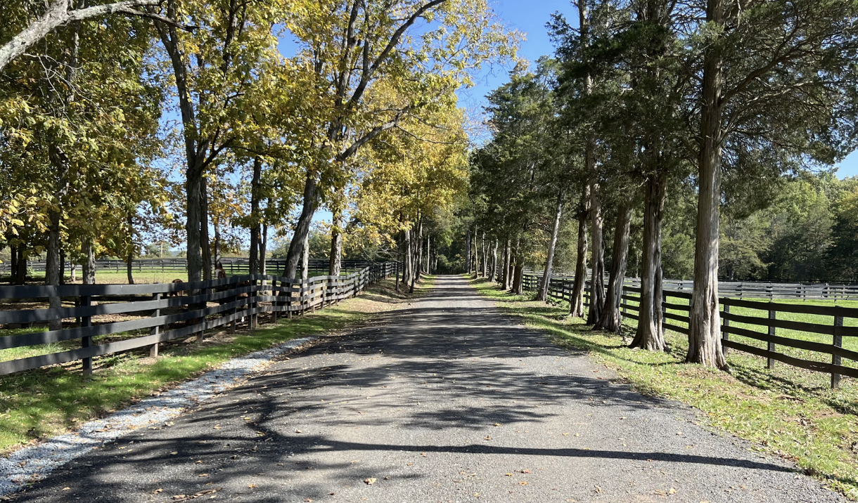 Screenshot 2026-02-22 at 6.46.35 PM.png