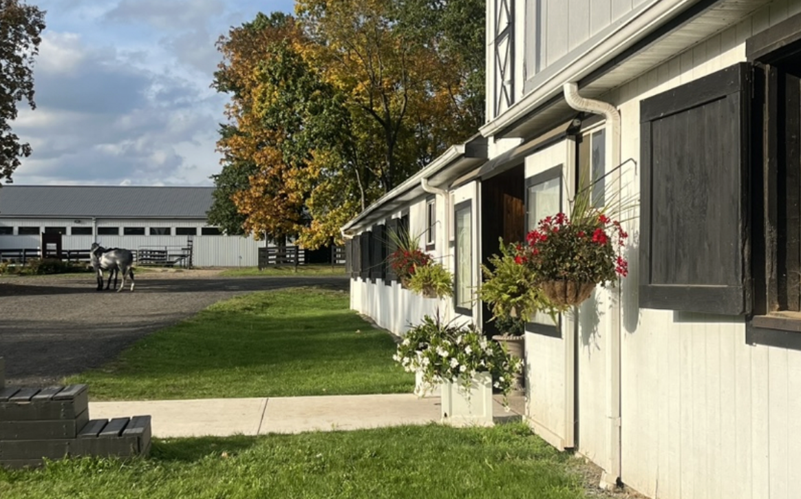 Screenshot 2026-02-22 at 6.46.08 PM.png