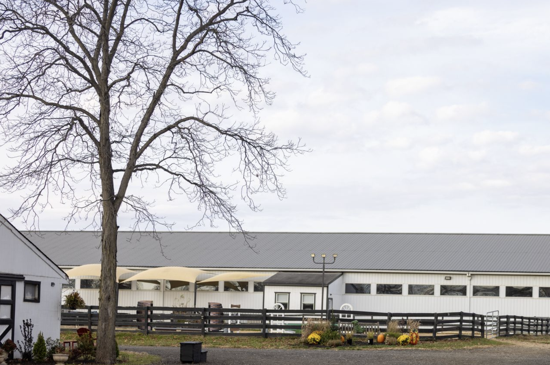 Screenshot 2026-02-19 at 1.31.57 PM.png