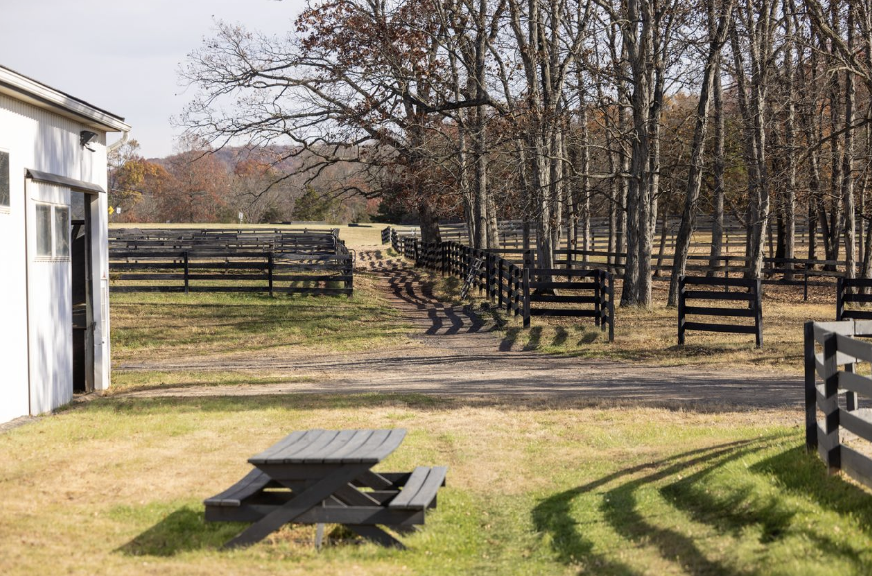 Screenshot 2026-02-19 at 1.36.48 PM.png