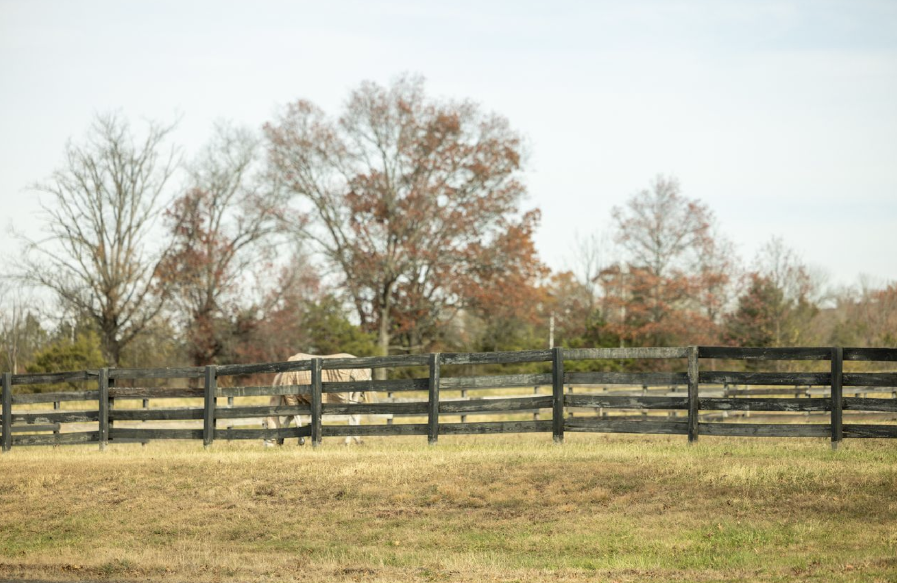 Screenshot 2026-02-19 at 1.34.54 PM.png