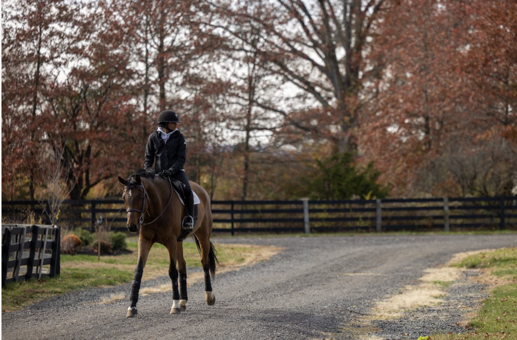 Screenshot 2026-02-19 at 1.34.25 PM.png