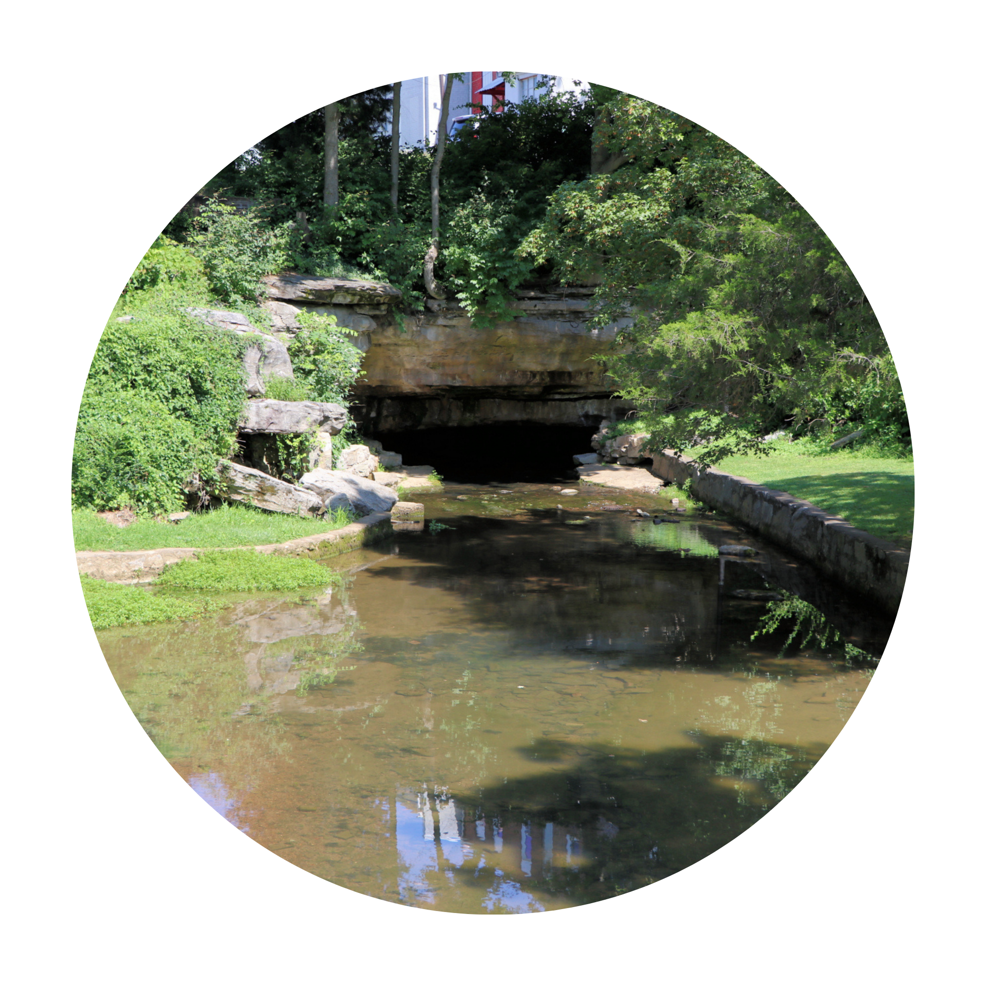 Counseling/Treatment