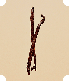 Homagepage_Collection_Rum_04.png