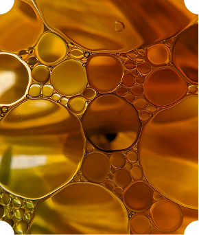 Homagepage_Collection_Whisky_05.png