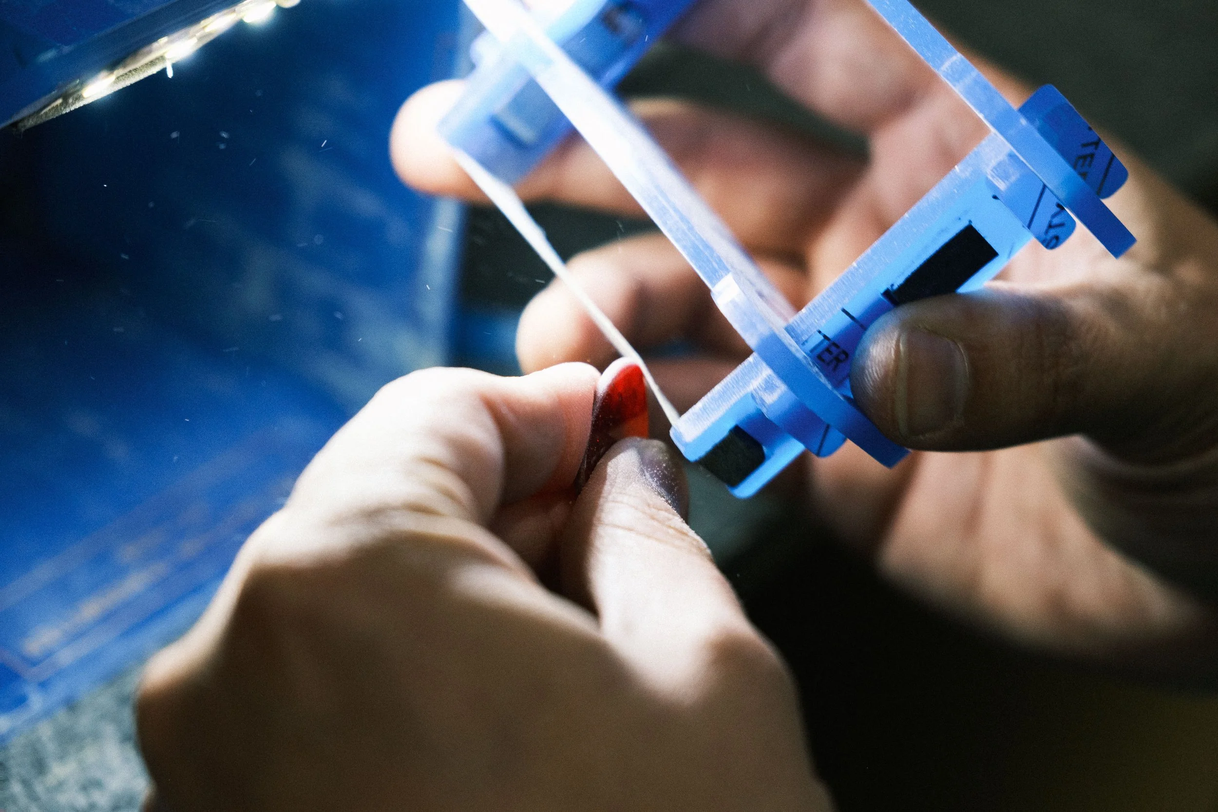   These blue plastic tools are ones Andrew designed and made to make this process easier.  