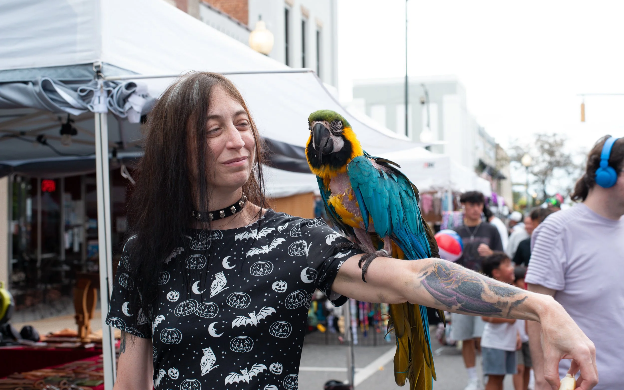 MORGANTON FESTIVAL 2026