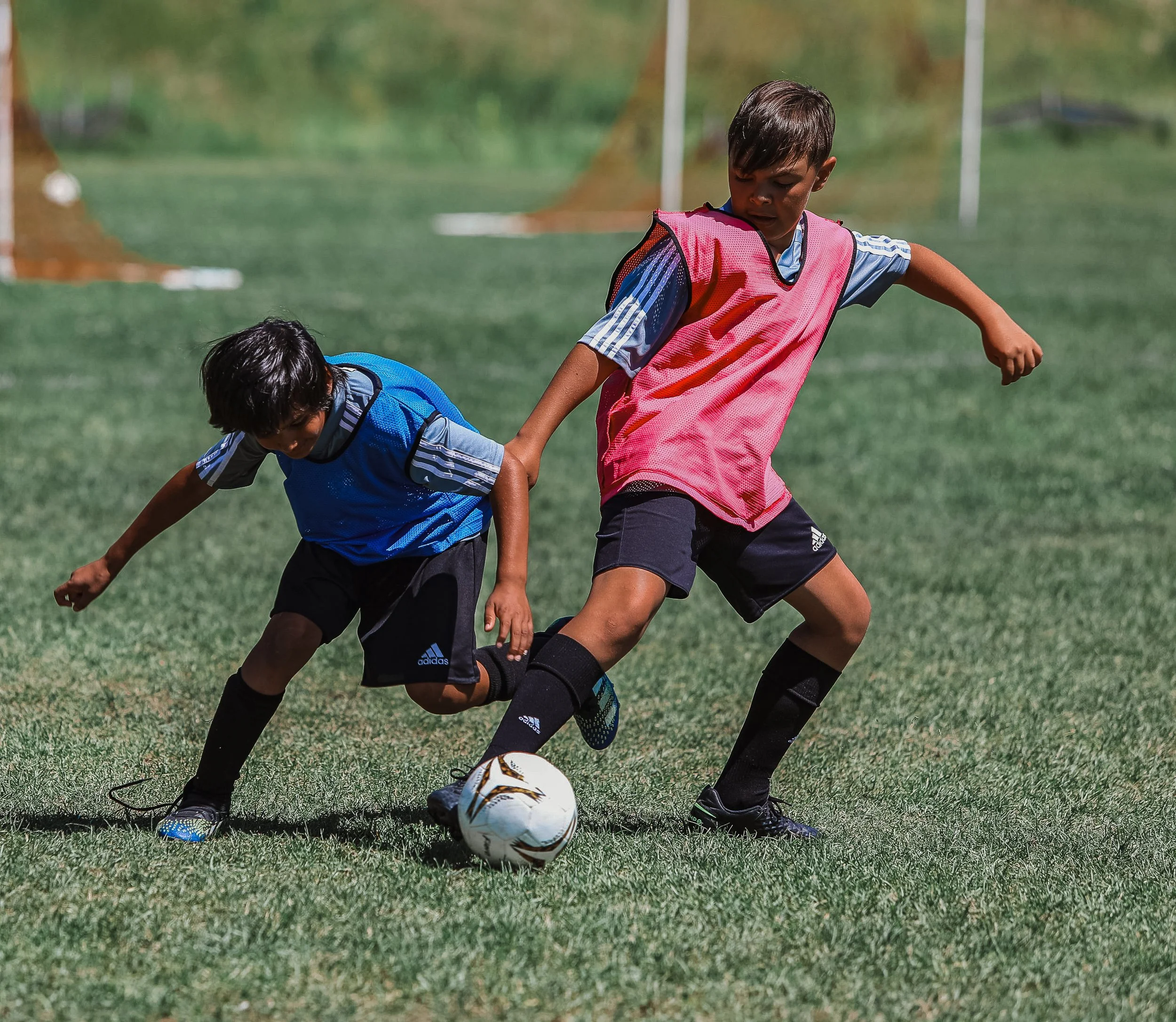 Two young boys playing soccer on a grassy field, one wearing a pink vest and the other a blue vest, both trying to gain control of the soccer ball.