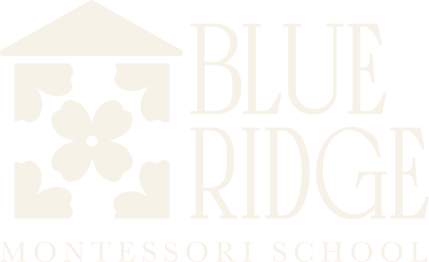 Blue Ridge Montessori School | Lynchburg, VA