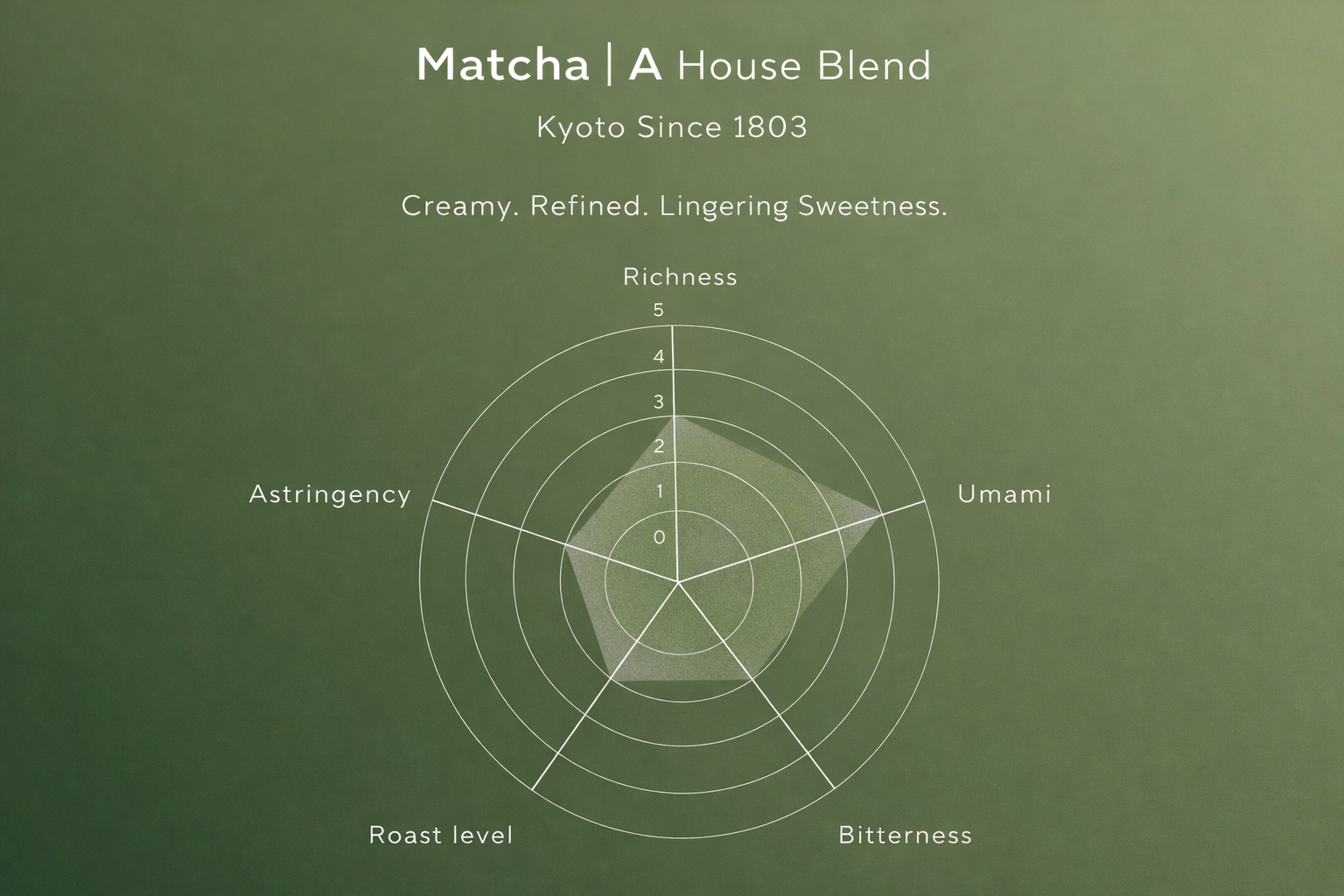 ChatGPT Image Feb 22, 2026 at 02_59_56 PM.png