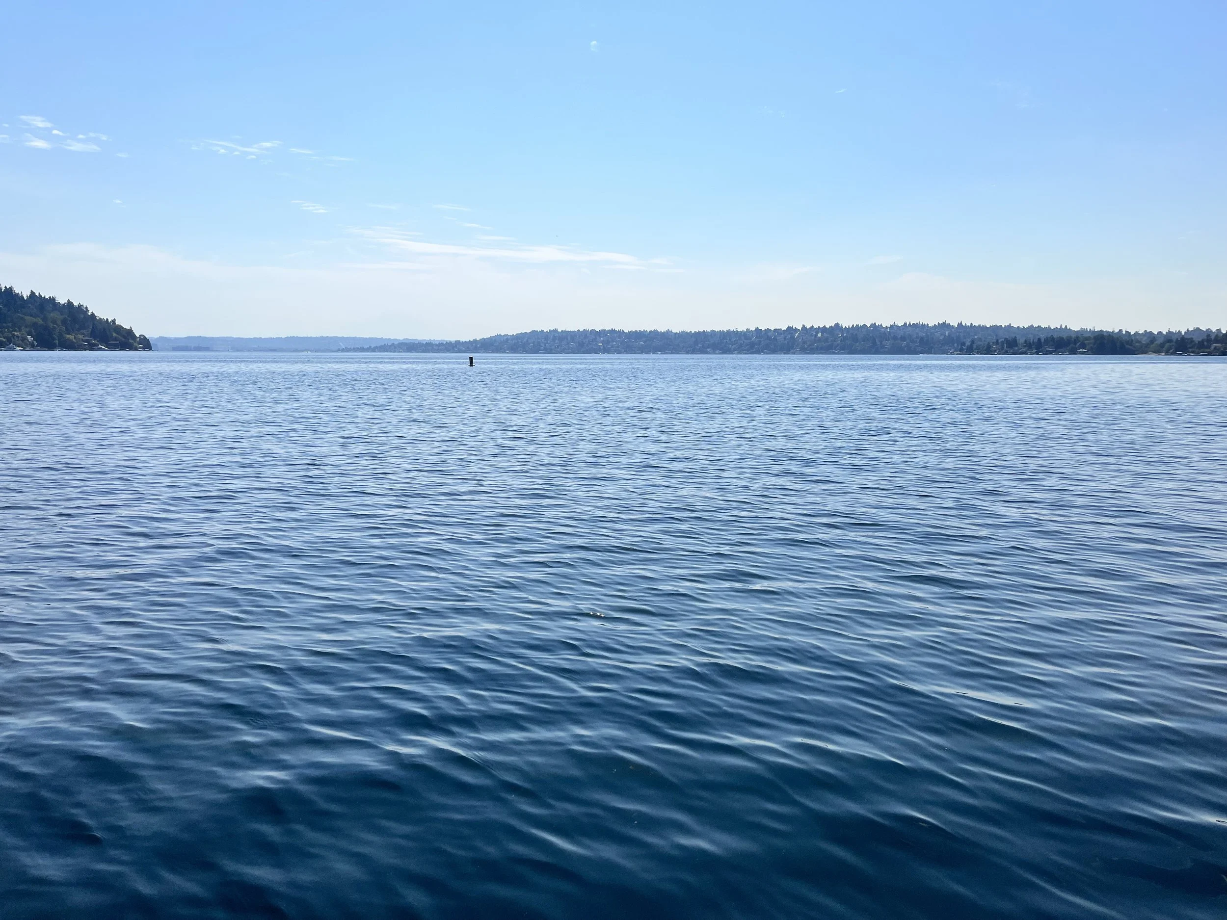 A calm body of water with gentle ripples, under a clear blue sky with a few clouds, surrounded by distant tree-covered land.