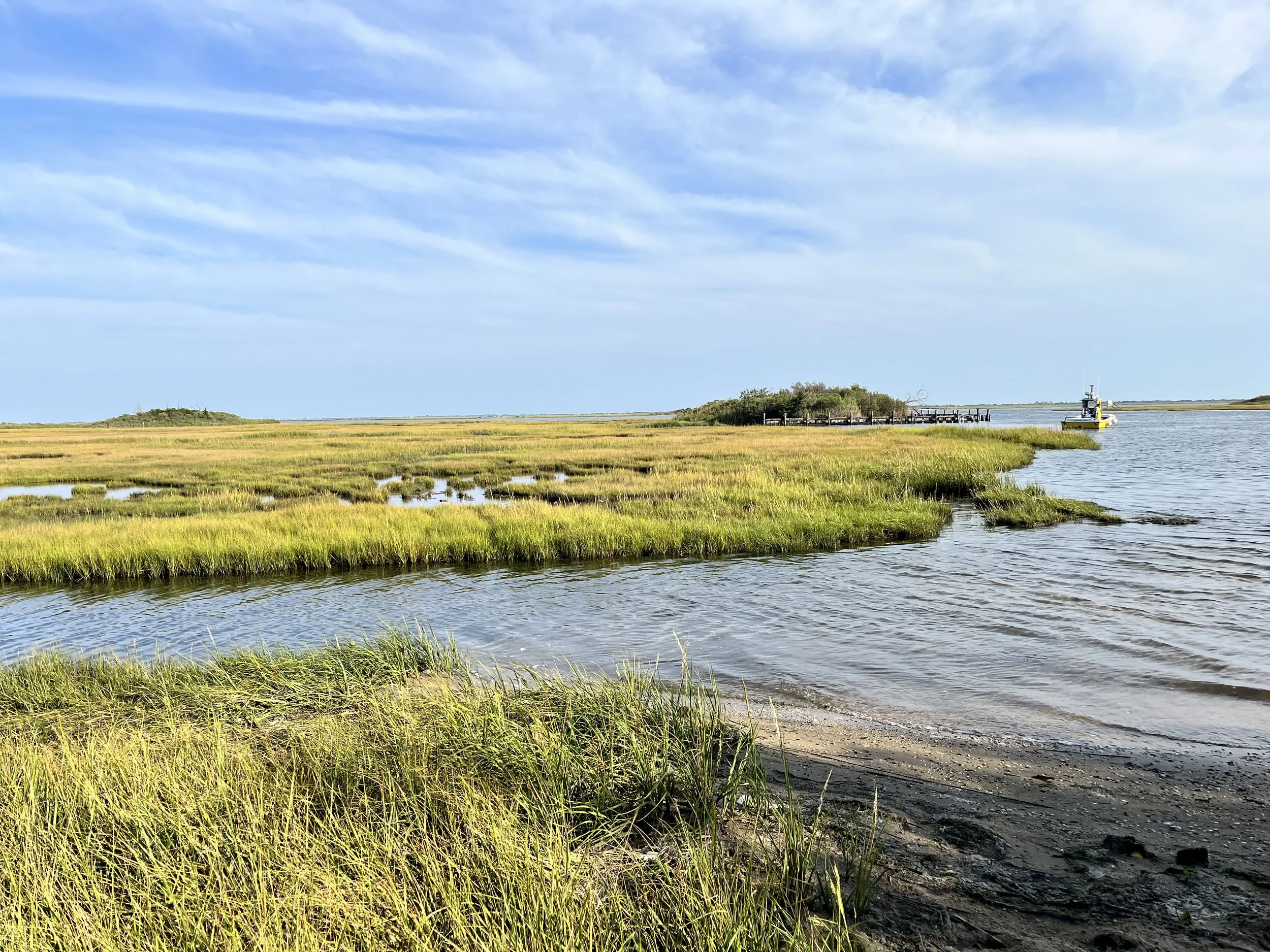 A coastal marshland with grassy patches, a small dock, and a boat on the water under a partly cloudy sky.