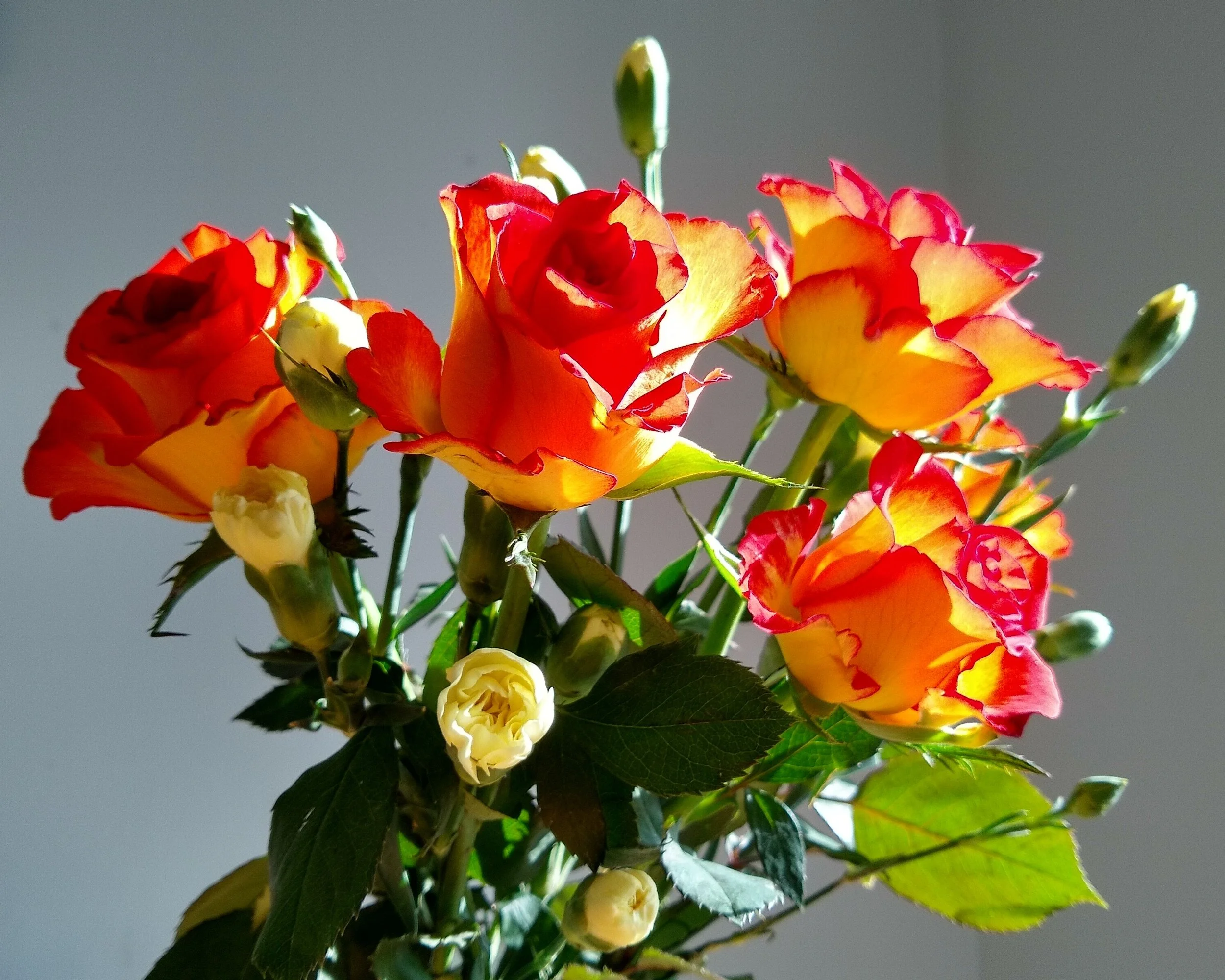 IMG_20260309_144201494_HDR~2.jpg