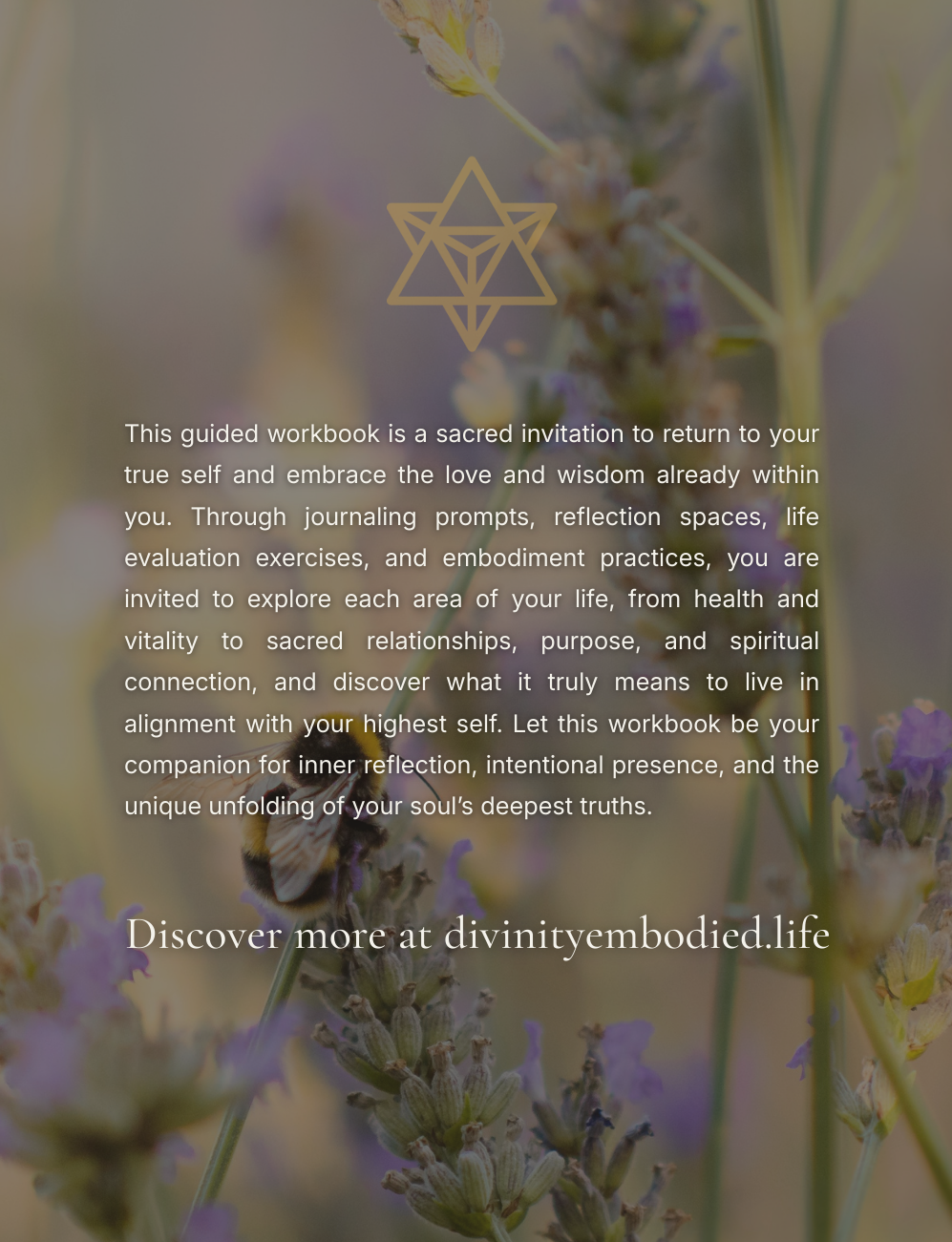 WWYD Workbook Cover back.png