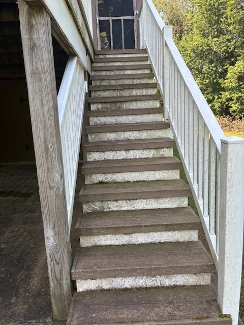 Wooden outdoor staircase with white railing leading up to a door, surrounded by trees and grass.