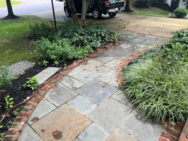 brick paver walkway in need of some love