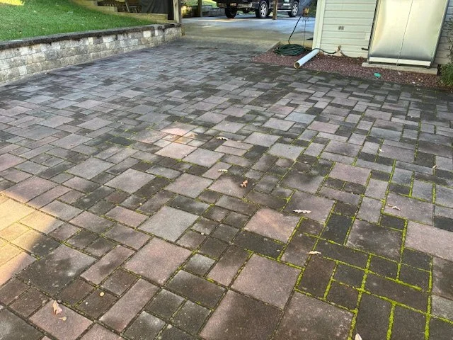 A paved backyard patio with interlocking bricks, some covered in moss and a few leaves scattered around.