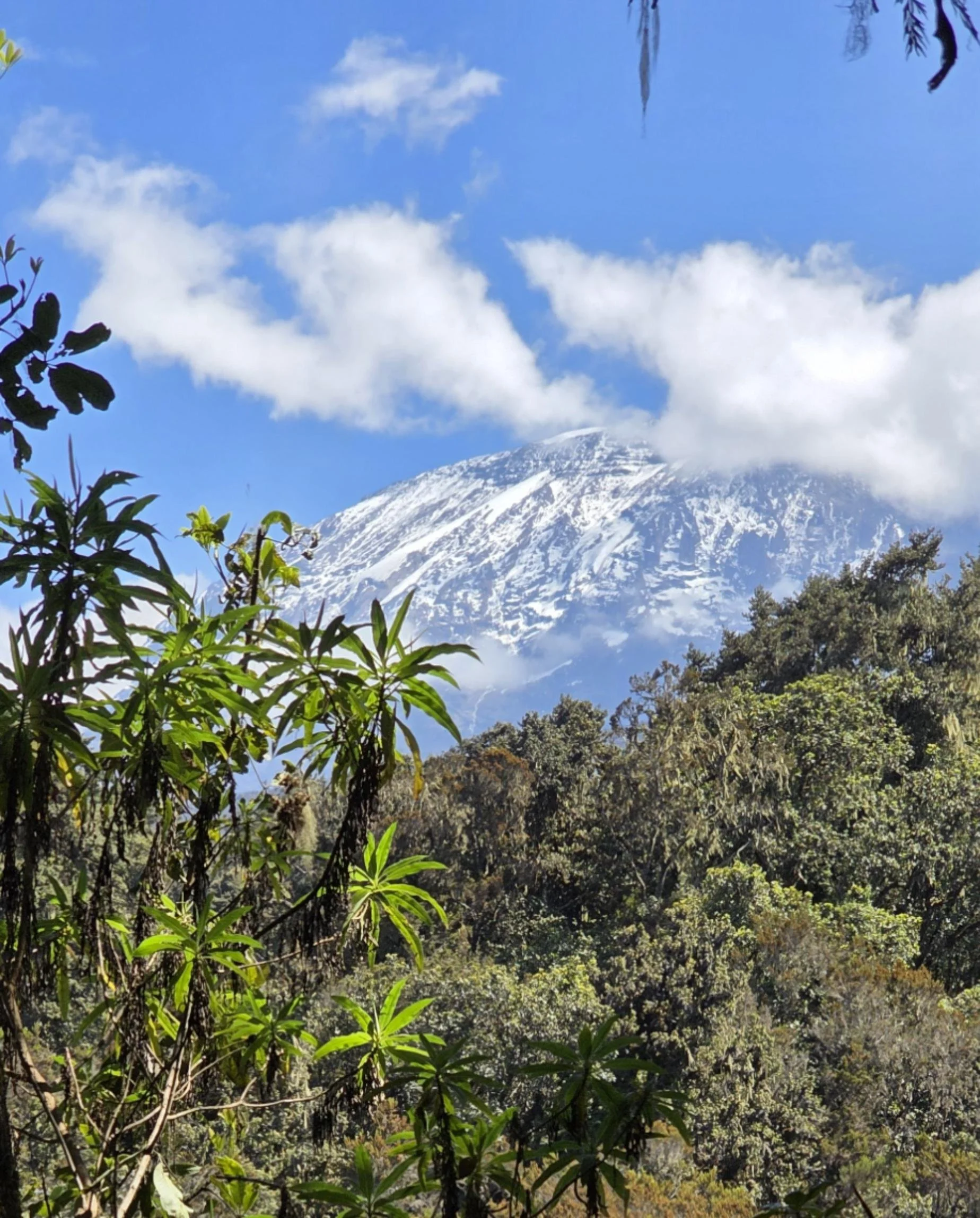 Mount Kilimanjaro summit view – Couch to Summit™ training preparation program