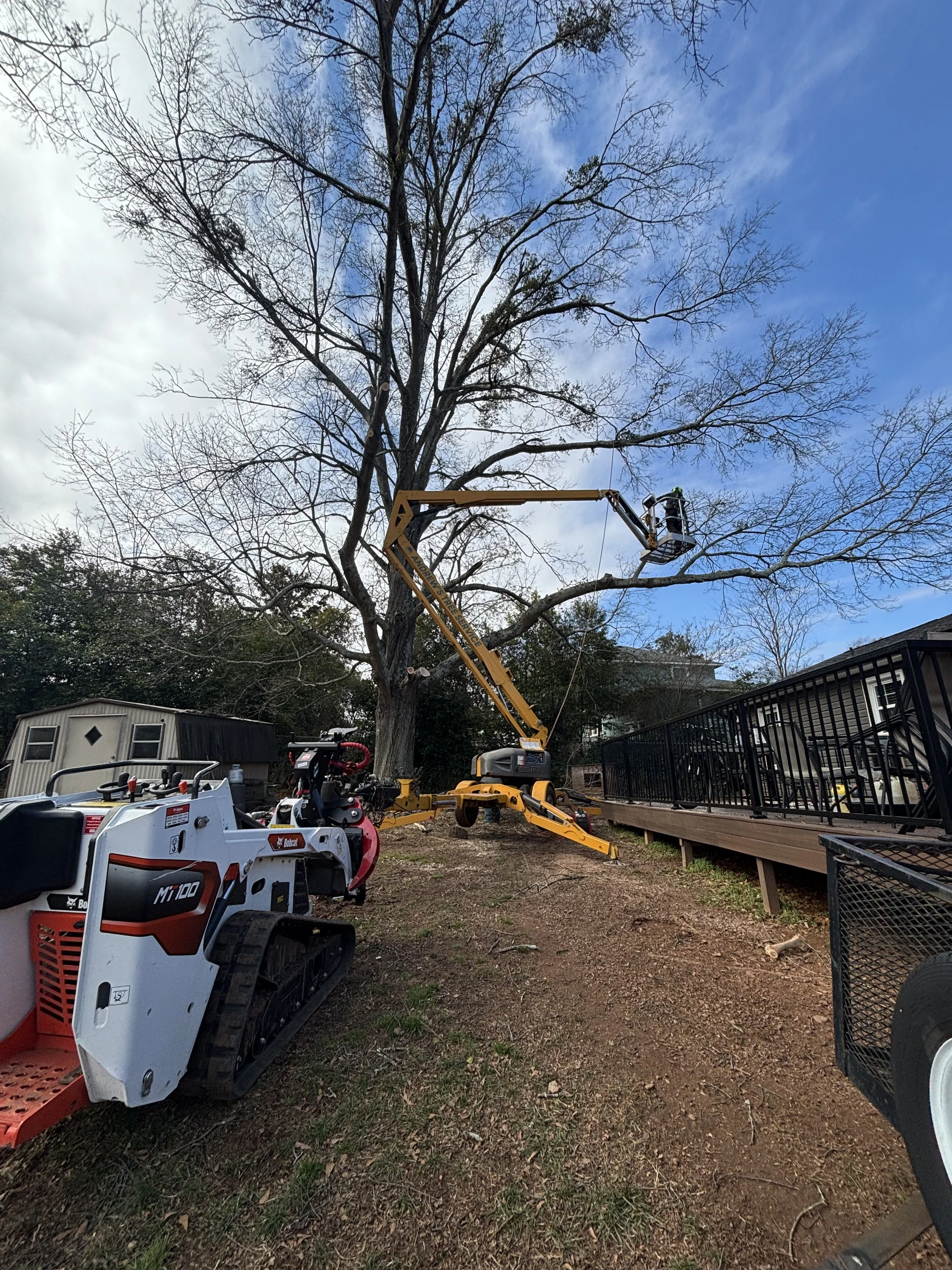 Worker in a cherry picker trimming a tall tree with leafless branches in a backyard with a wooden deck, black railing, and various equipment.
