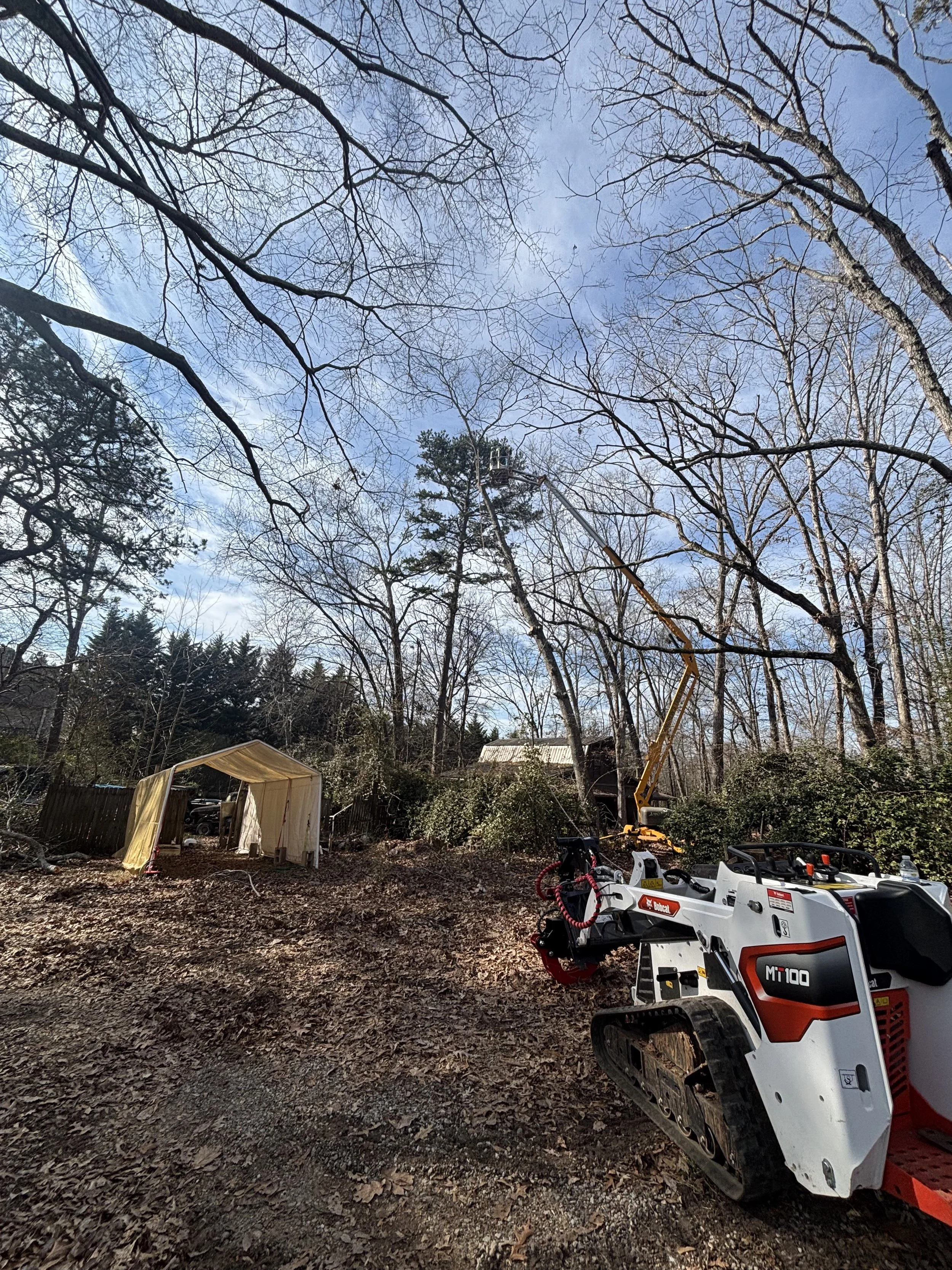 A backyard scene with leafless trees, a small shed, a tree-trimming lift, and a robotic lawn mower.