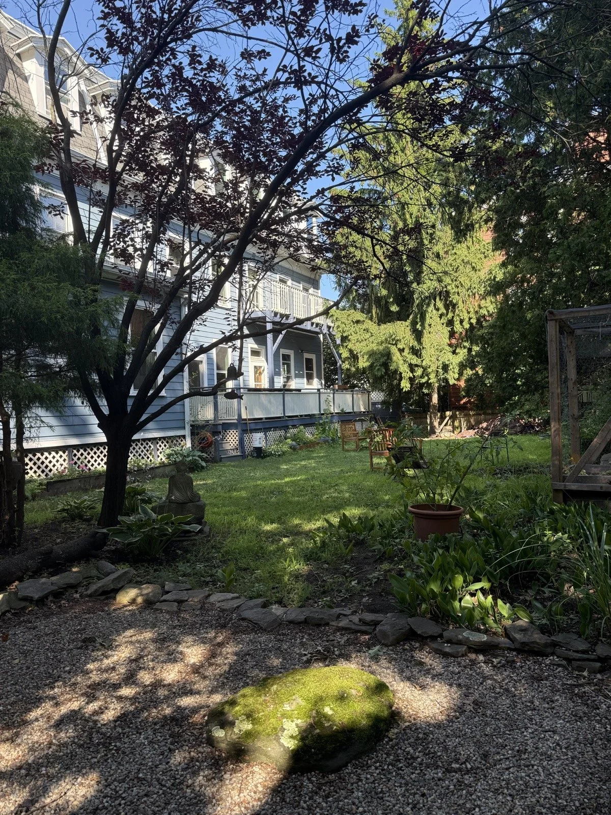 A backyard garden scene during daytime with a lawn, potted plants, and flowerbeds along a fence. Trees with budding and flowering branches are visible, with sunlight filtering through. There are outdoor chairs and statues, and the yard is bordered by houses with a blue house on the right and a yellow house in the background.