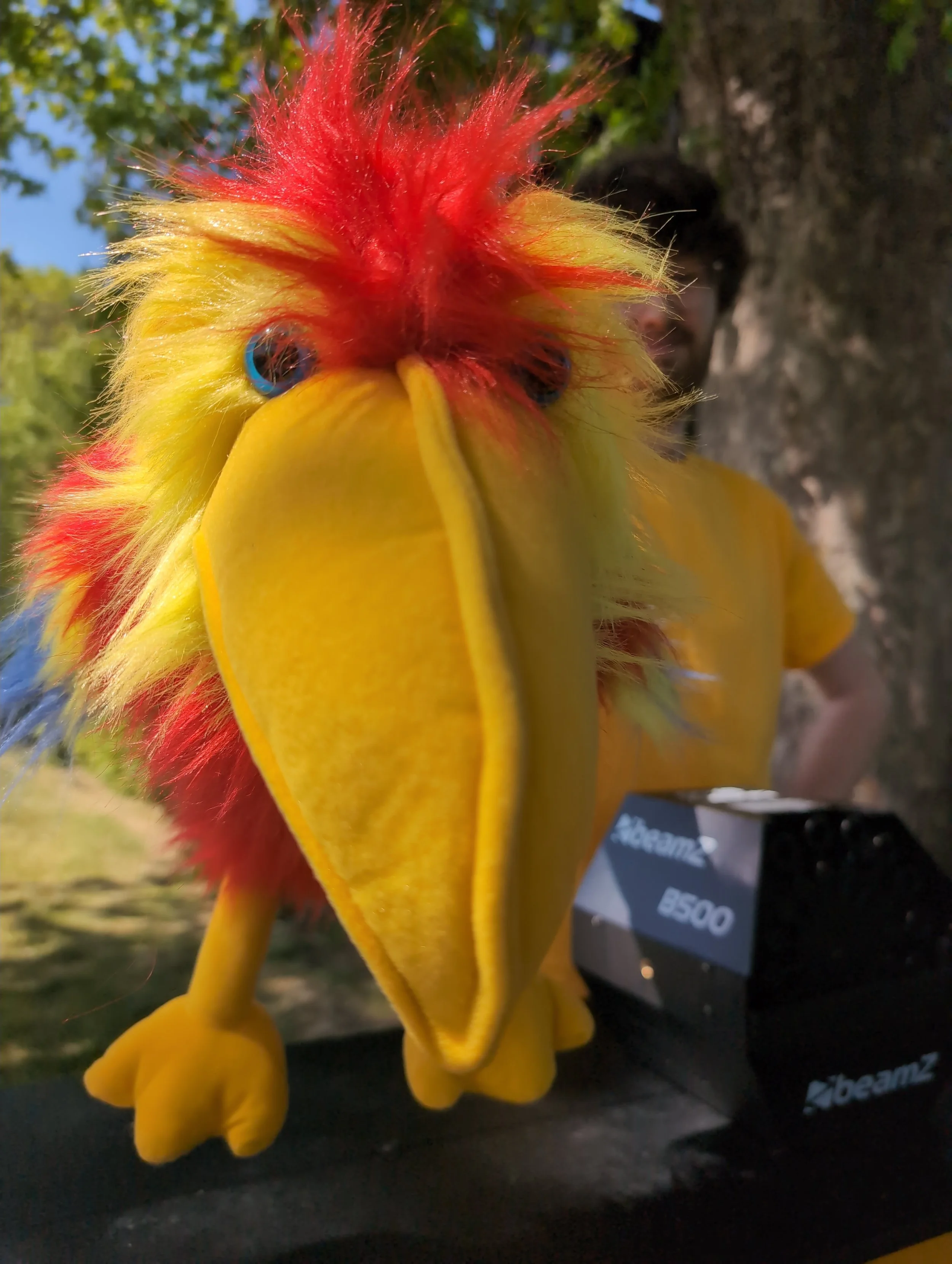 A close-up view of a plush toy resembling a chicken with bright yellow feathers, a red crest on its head, and blue eyes, standing outdoors with trees in the background.