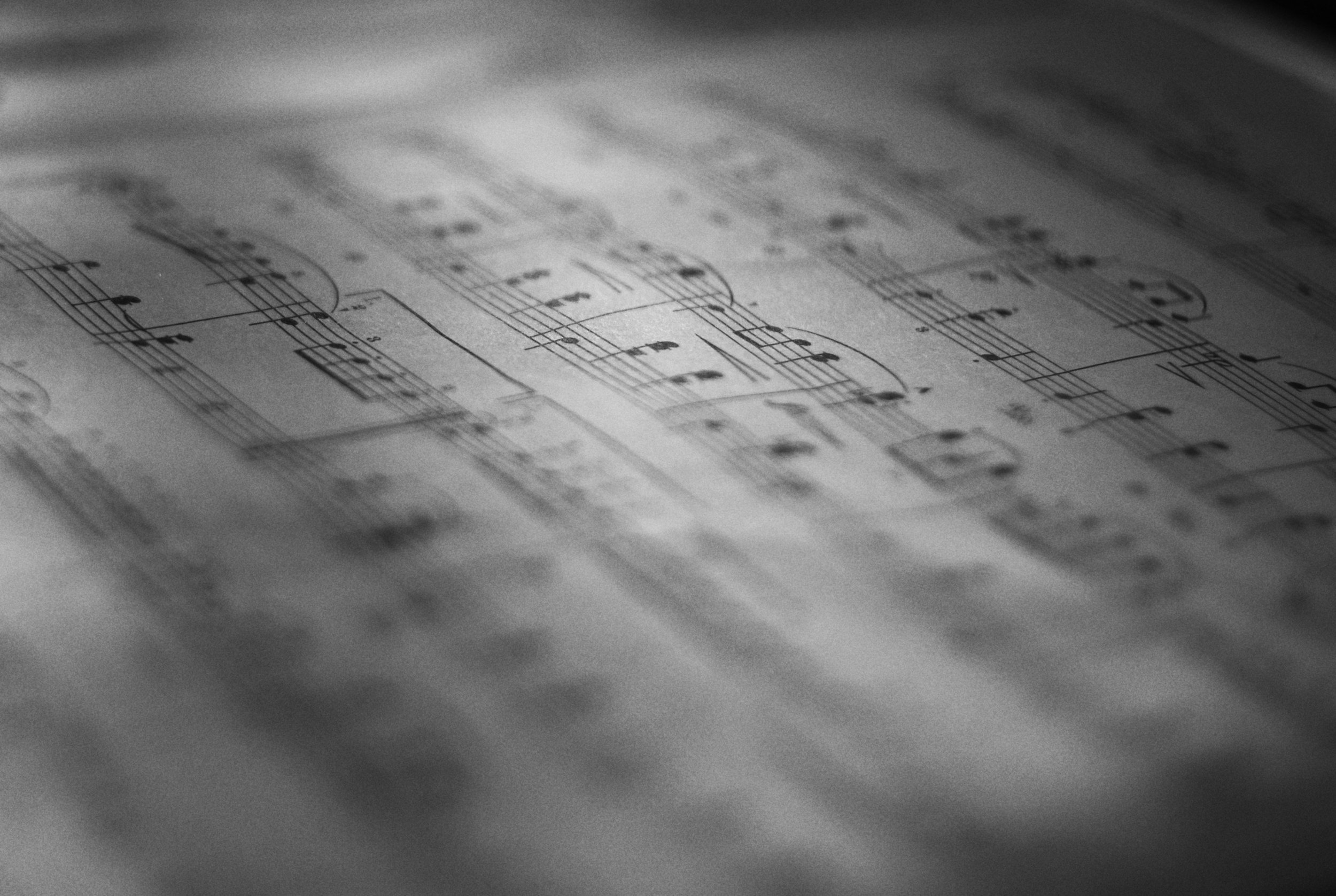 unsplash-image-BoG8tpchiis.jpg