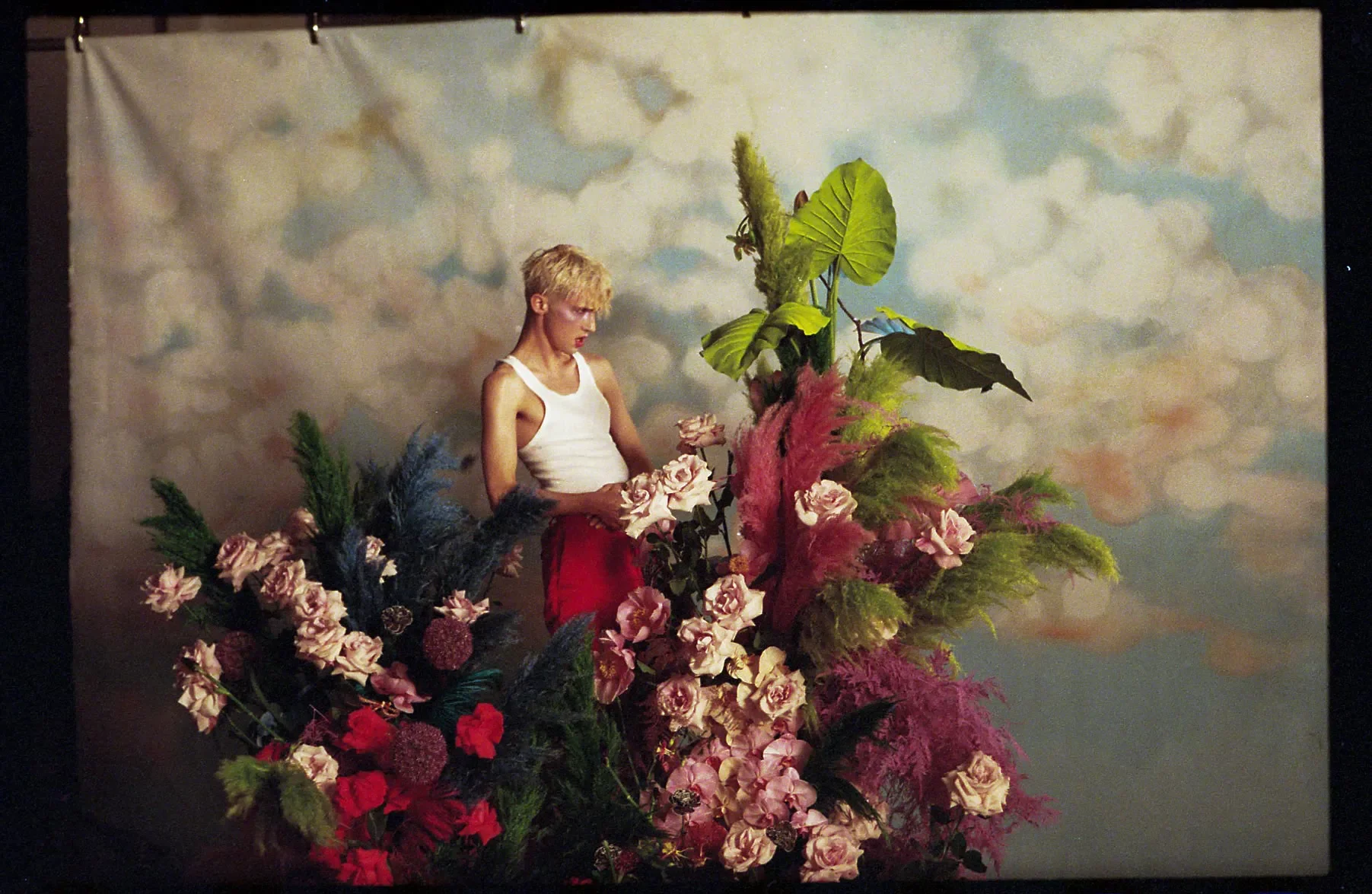 'Bloom' | Troye Sivan