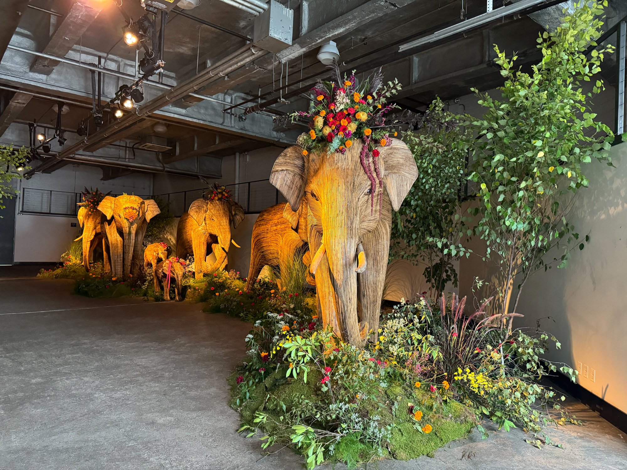 The Great Elephant Migration