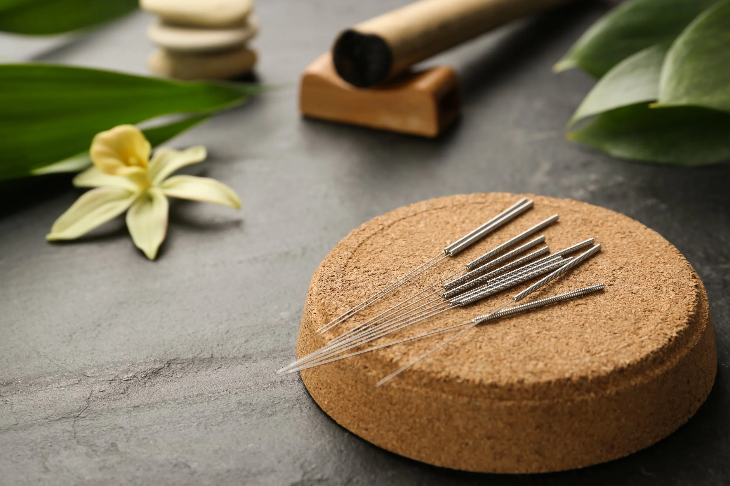 acupuncture needles on cork; flower display