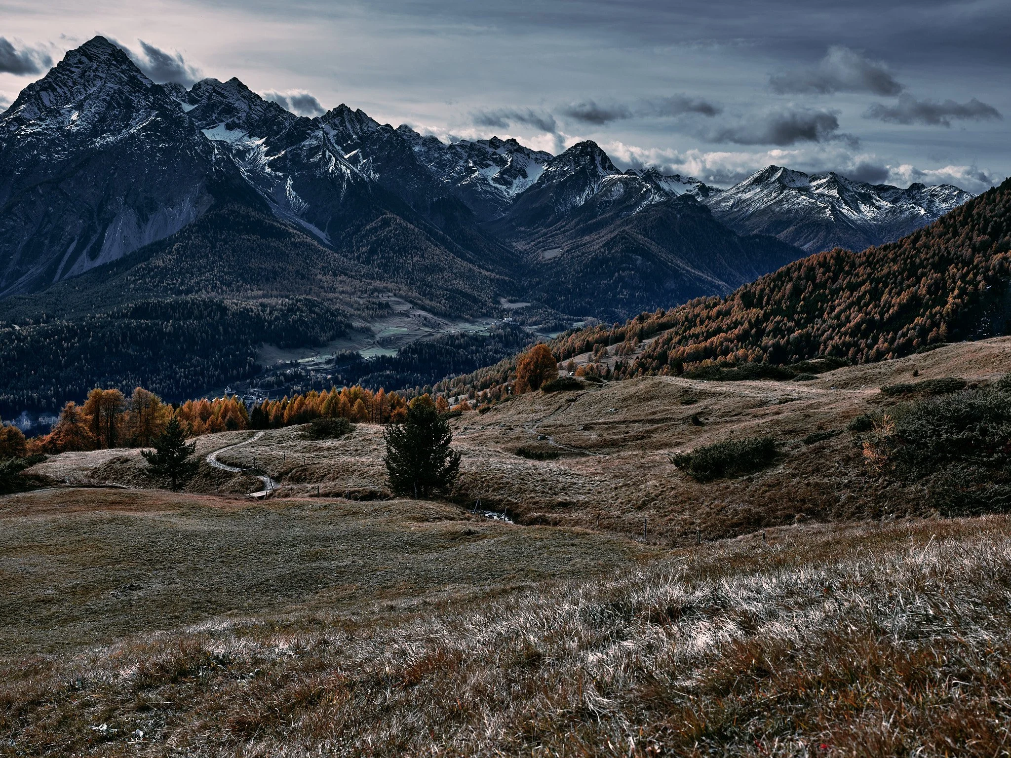 A scenic mountain landscape with rugged snow-capped peaks, rolling grassy hills with sparse trees, and a cloudy sky.