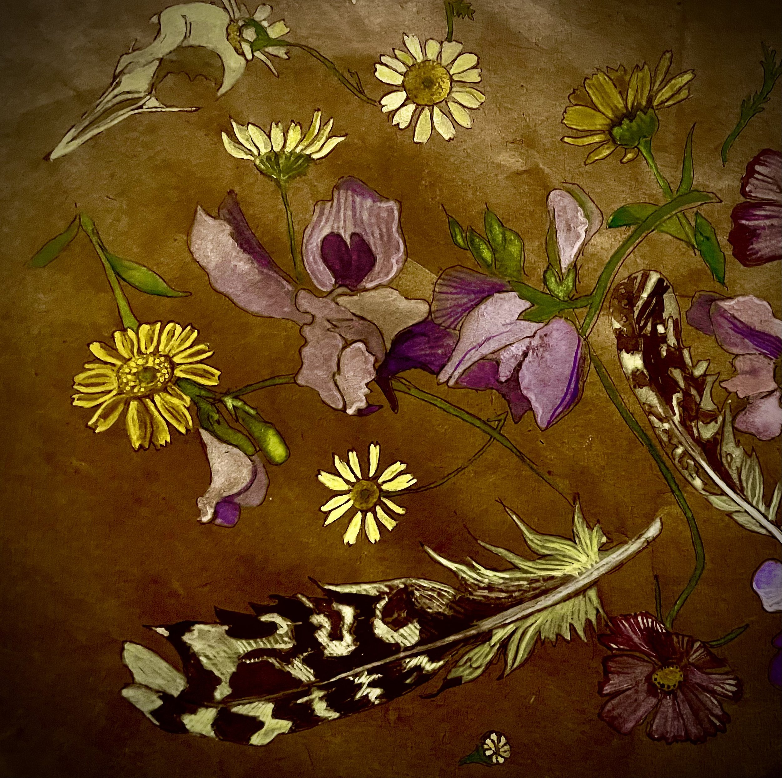 Feathers and Flowers
