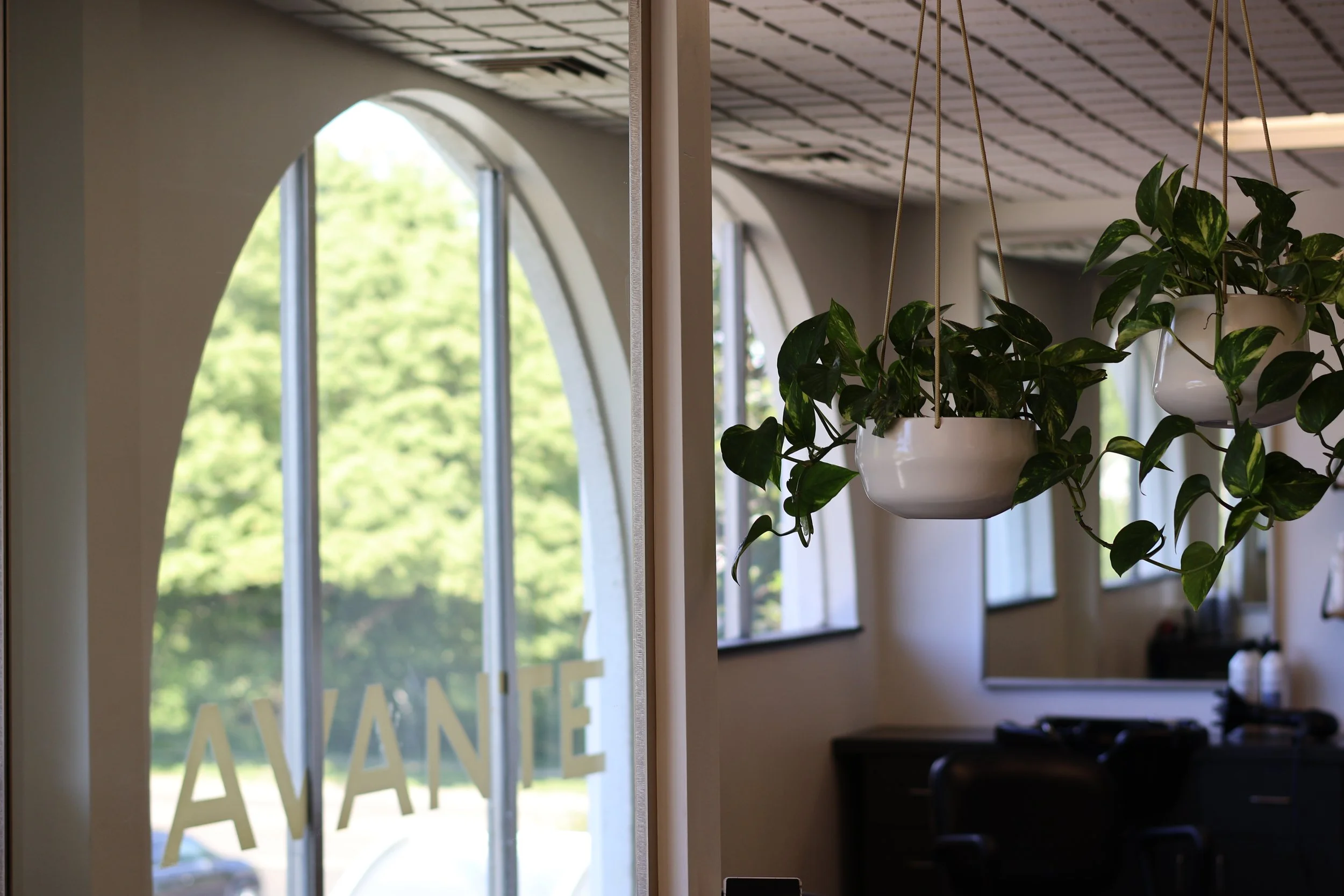 Indoor scene with hanging potted plants near large windows, view through window shows greenery and a sign that reads 'AVANTE'