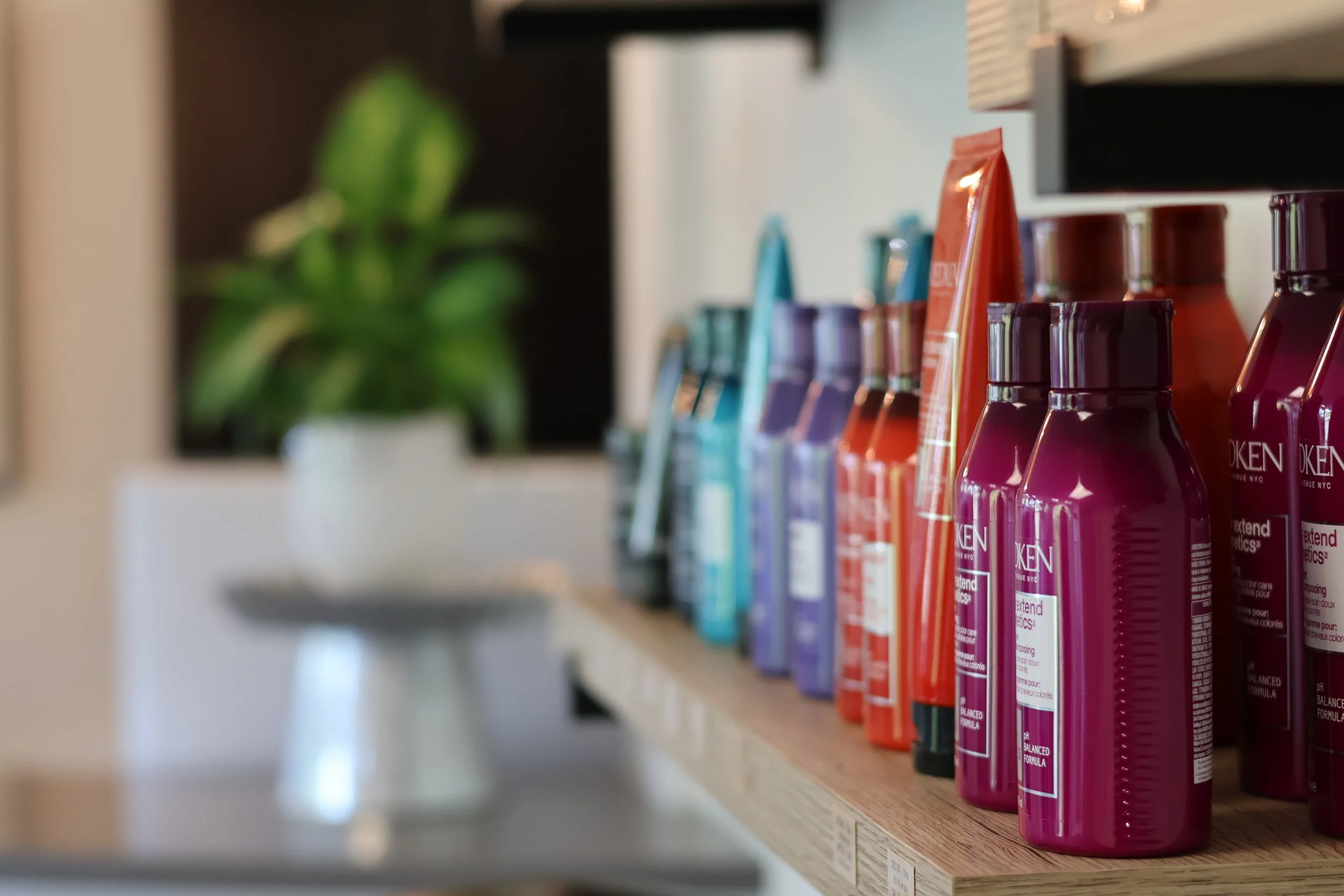 Rows of colorful hair care bottles on a store shelf, with a blurred green plant in the foreground.