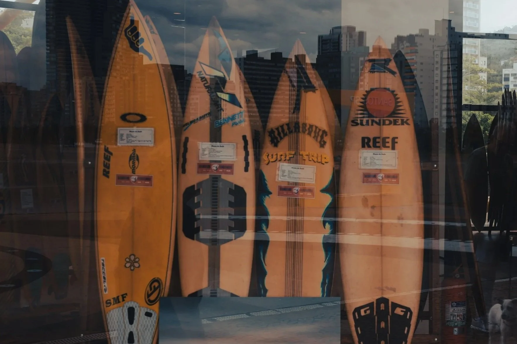 Em breve mais produtos SURF DOG SOCIETY