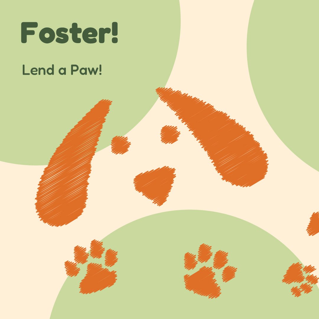 Nelson_Brandon_SocialMedia_Foster-01.jpg