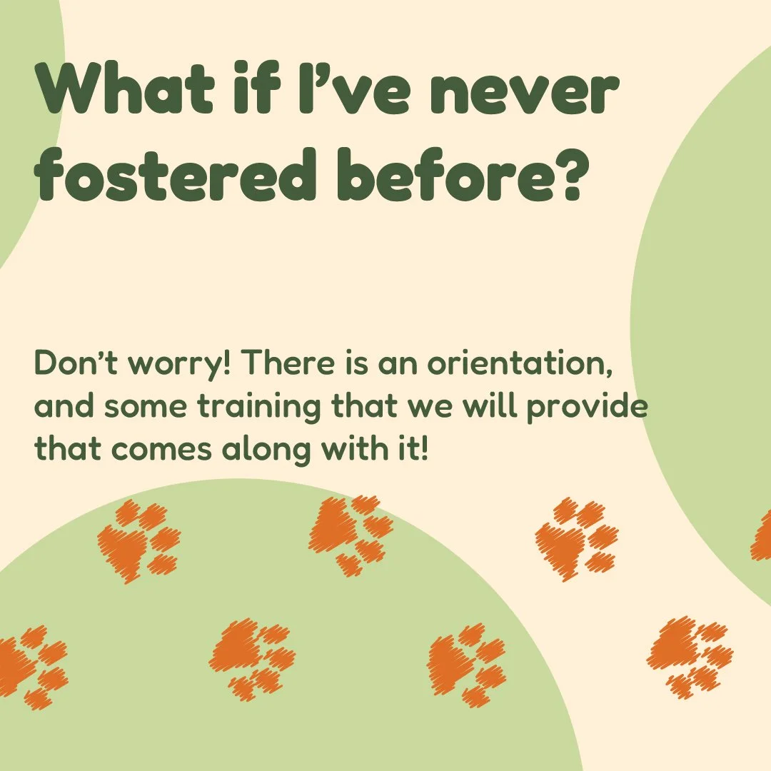 Nelson_Brandon_SocialMedia_Foster-05.jpg