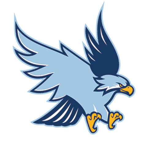 Hawk-GIPHY.gif